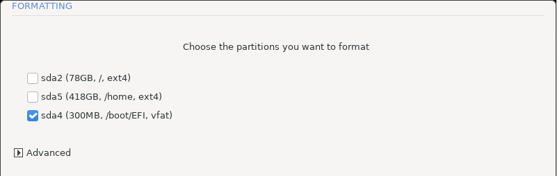 Formatting options ⁄ , ⁄home and ⁄boot⁄EFI.png
