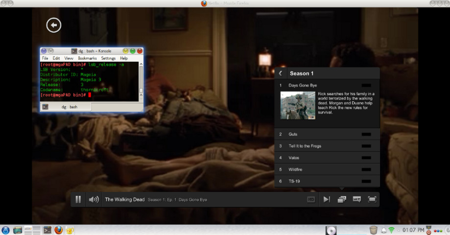 Netflix Web Player