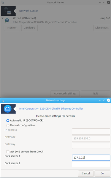 File:Net applet dns.png