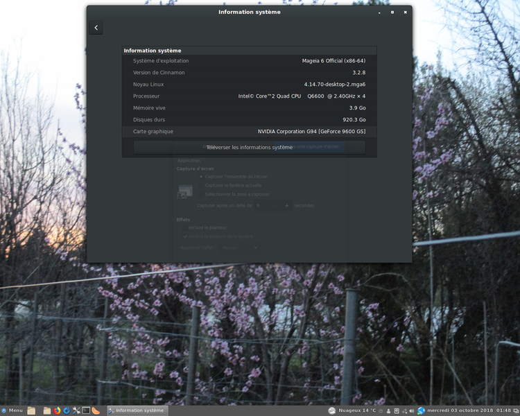 File:Mga6-cinnamon-custom.png