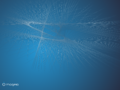 Thumbnail for version as of 16:53, 1 December 2018