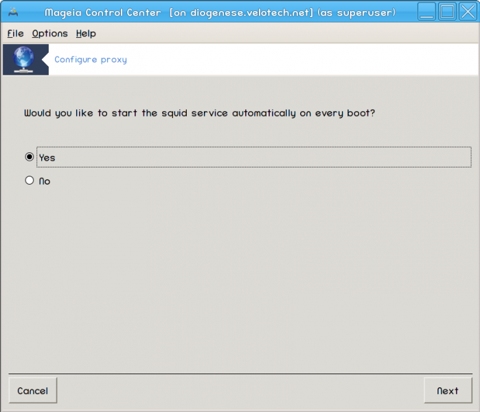 File:DIO-Proxy-step09-at-boot.png